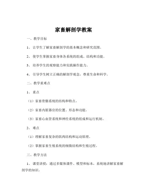 家畜解剖学教案