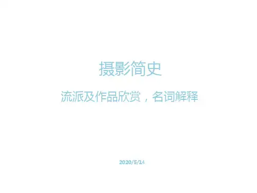 摄影简史：流派及作品欣赏,名词解释
