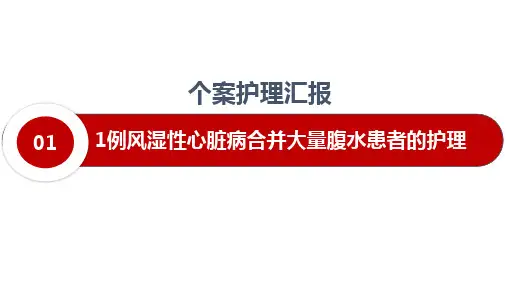 个案护理PPT课件