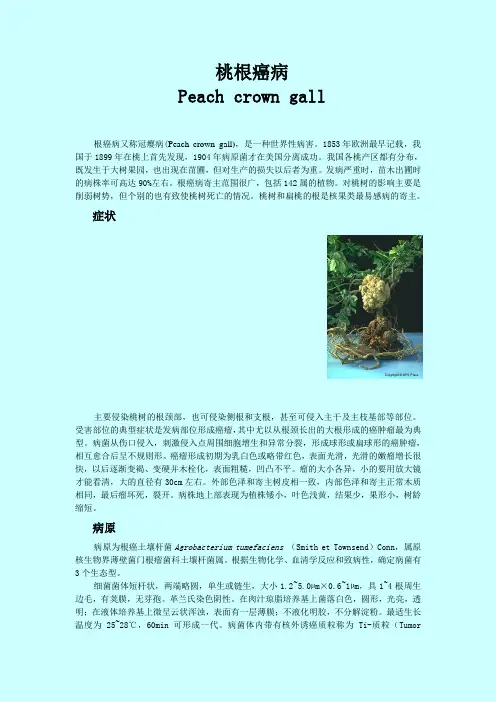 桃根癌病