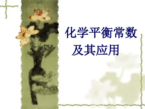 化学平衡常数PPT