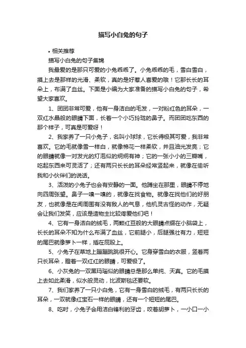 描写小白兔的句子