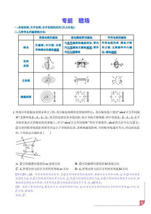 高考物理二级结论题型详解： 磁场(解析版)