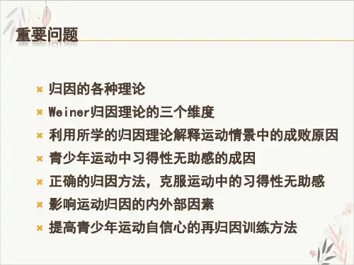 运动心理学运动归因PPT.