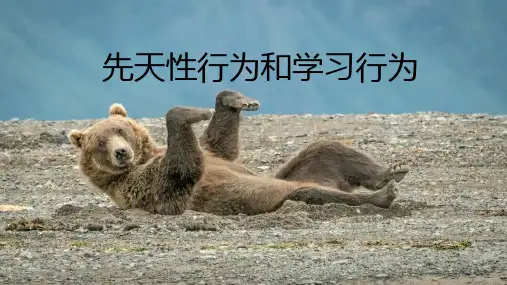 人教版生物八年级上册《先天性行为和学习行为》说课课件