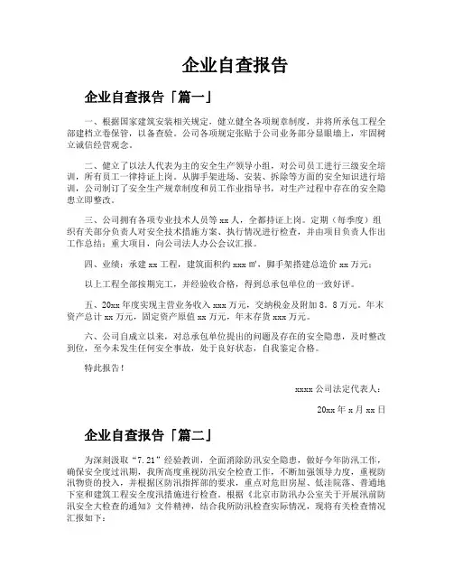 企业自查报告