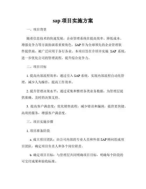 sap项目实施方案