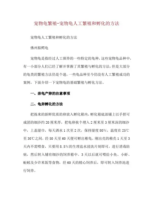 宠物龟繁殖-宠物龟人工繁殖和孵化的方法
