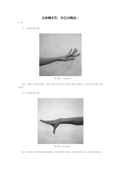 (完整版)古典舞手形、手位与舞姿