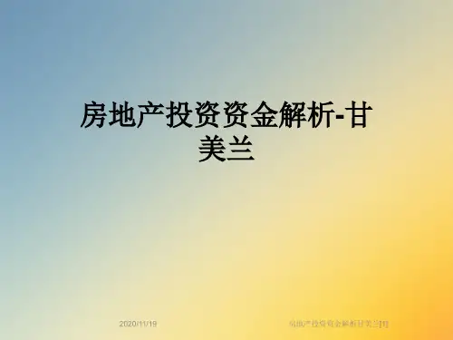 房地产投资资金解析甘美兰[1]