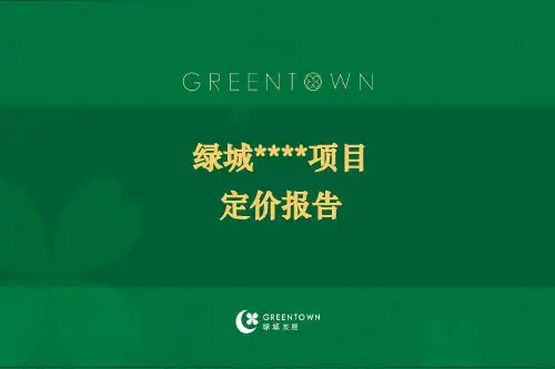 项目定价报告模板