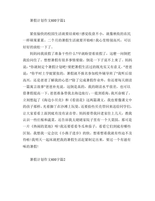 暑假计划作文600字3篇