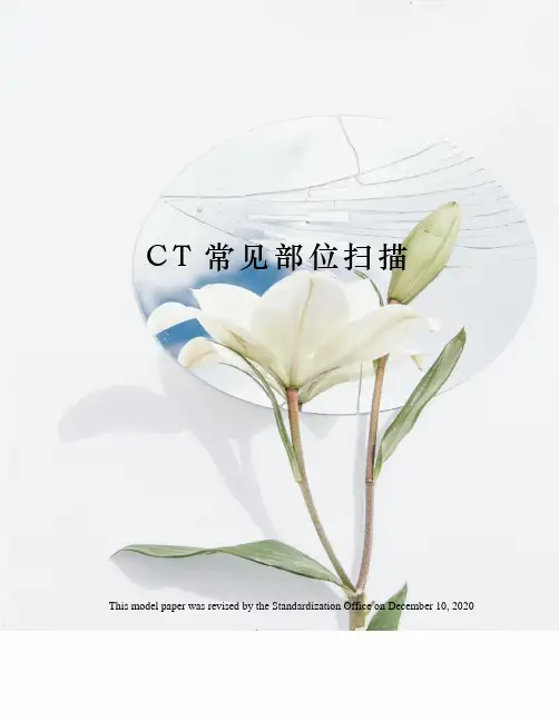 CT常见部位扫描