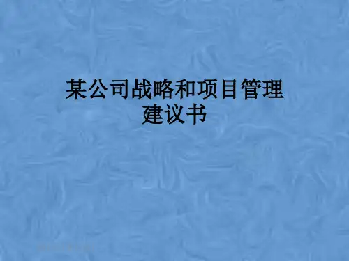 某公司战略和项目管理建议书