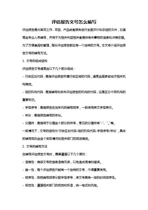 评估报告文号怎么编写