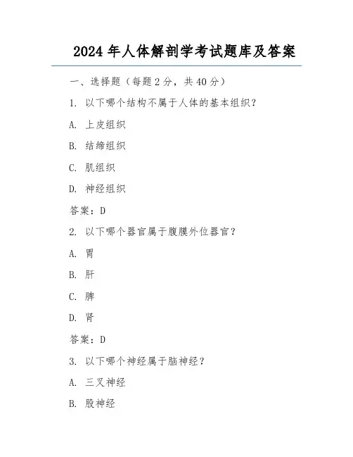 2024年人体解剖学考试题库及答案 