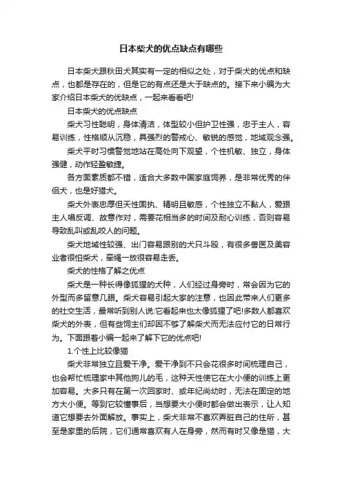 日本柴犬的优点缺点有哪些