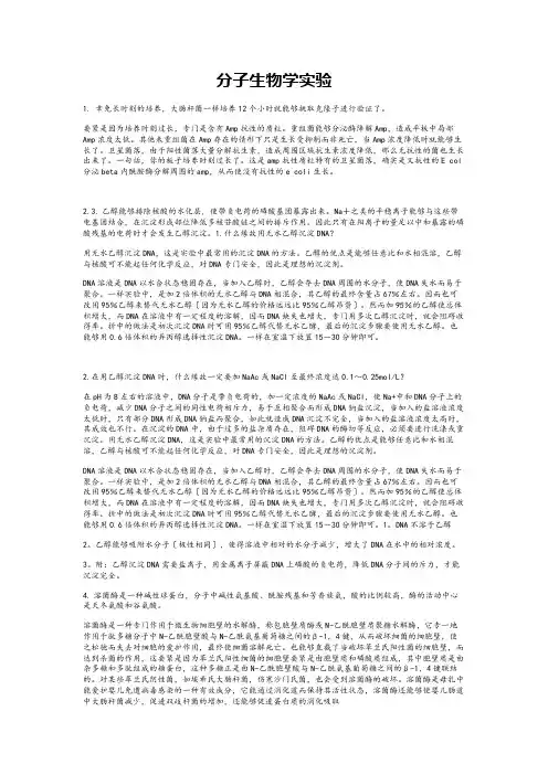 分子生物学实验