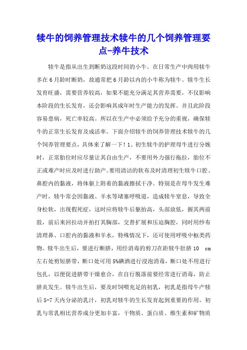 犊牛的饲养管理技术 犊牛的几个饲养管理要点 - 养牛技术