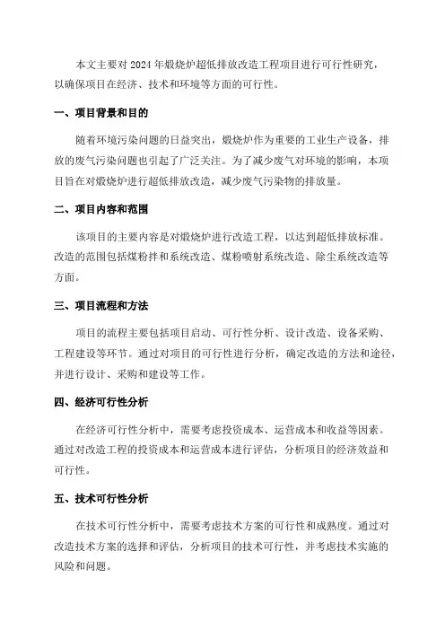 2024年煅烧炉超低排放改造工程项目可行性研究报告