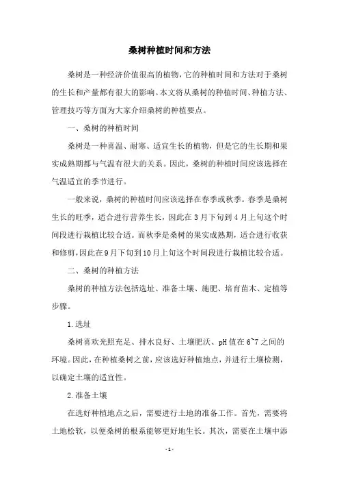 桑树种植时间和方法