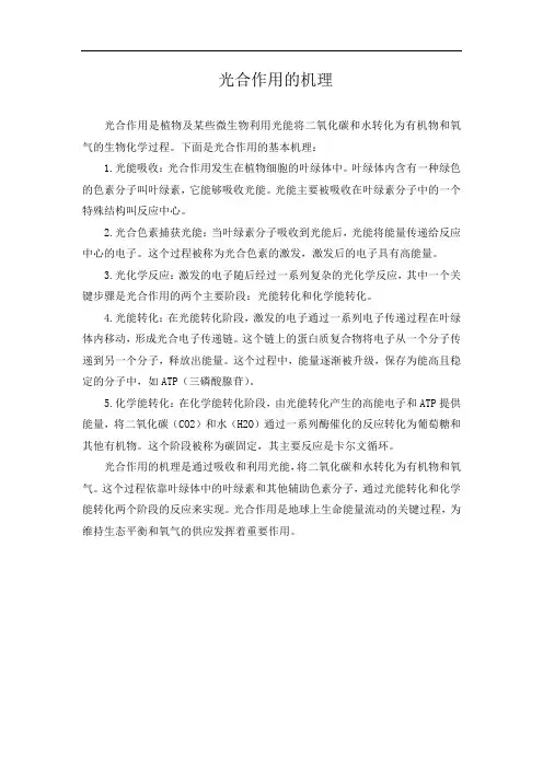 光合作用的机理