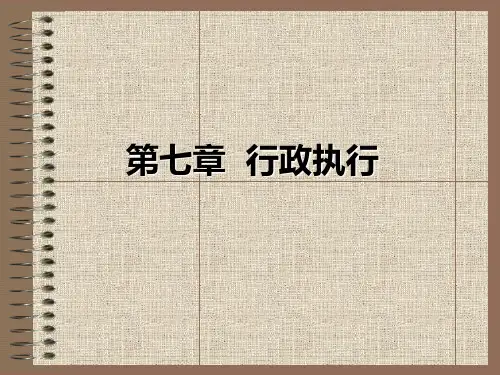 《行政管理学》课件——第七章 行政执行