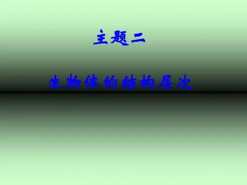 生物体的结构层次PPT课件5