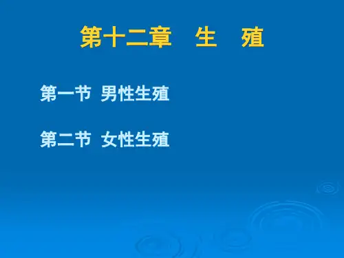 第十二章生殖ppt课件