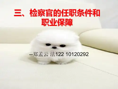 三、检察官的任职条件和职业保障