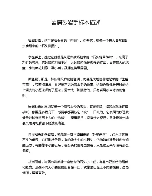 岩屑砂岩手标本描述