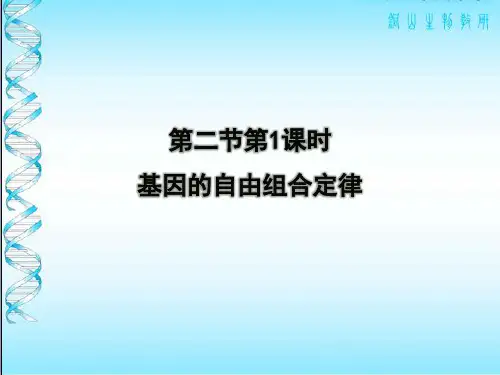 苏教版 必修2 课件：3.2.1 基因的自由组合定律