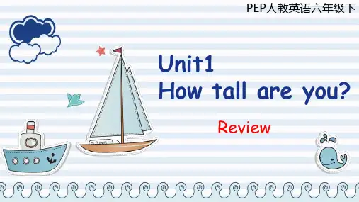 Unit 1 How tall are you？Review(课件)人教PEP版英语六年级下册