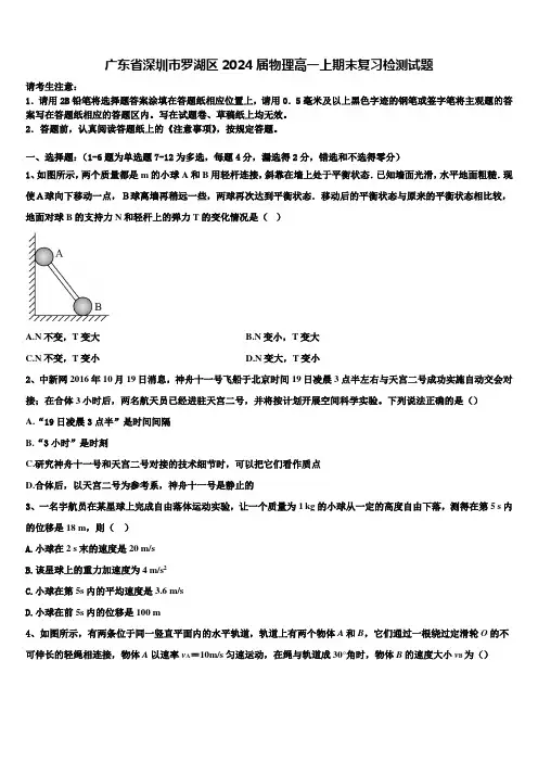 广东省深圳市罗湖区2024届物理高一上期末复习检测试题含解析