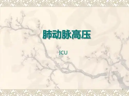 肺动脉高压 PPT课件