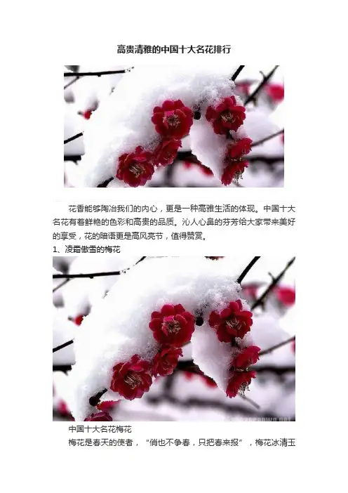 高贵清雅的中国十大名花排行