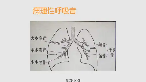 常见疾病的主要症状及体征