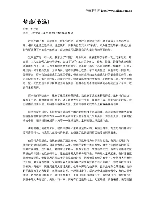 梦痕(节选)
