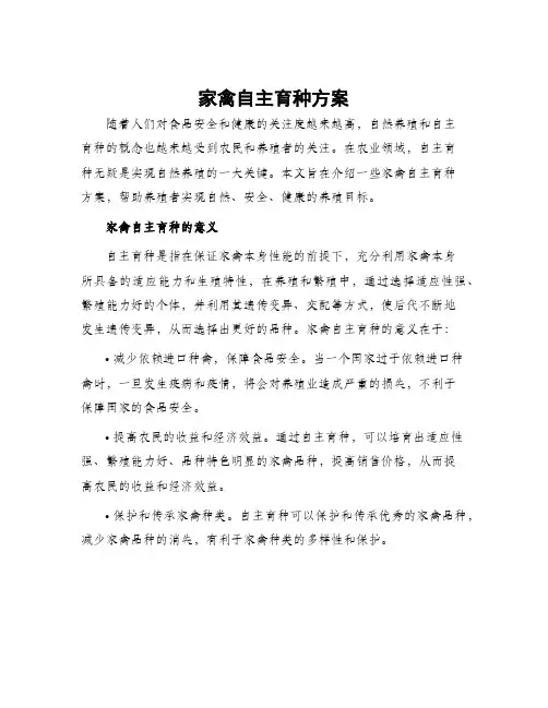 家禽自主育种方案