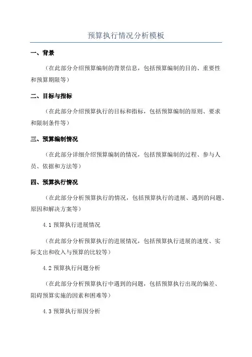 预算执行情况分析模板