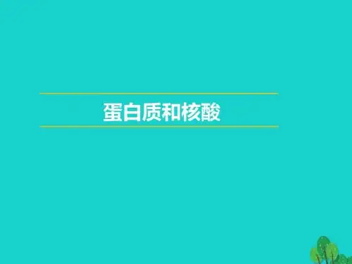 高中化学第四章生命中的基础有机化学物质4.3蛋白质和核酸教学课件新人教版选修5