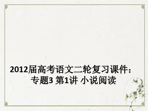 高考语文二轮复习PPT课件专题 小说阅读
