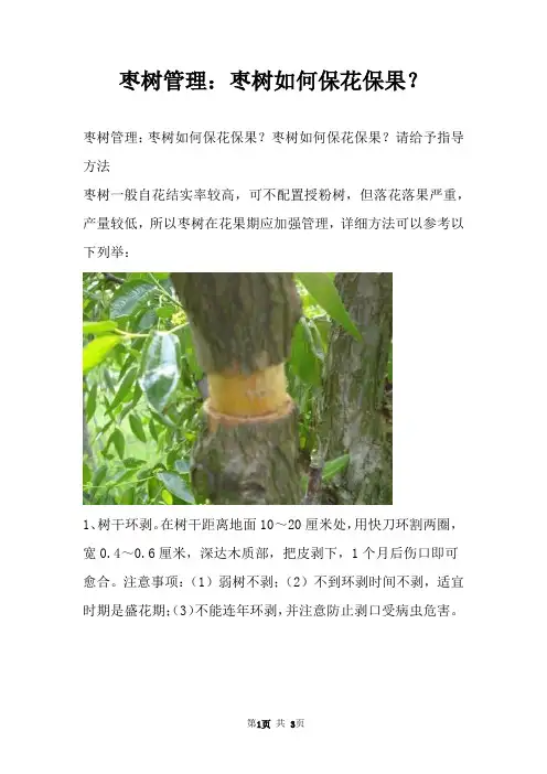 枣树管理：枣树如何保花保果？