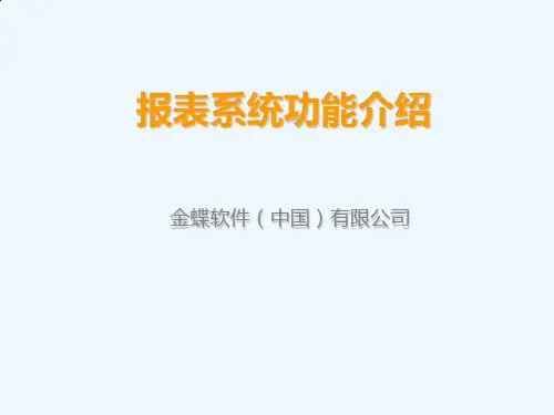 报表系统功能介绍