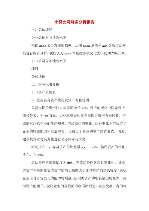 2019年小贷公司财务分析报告
