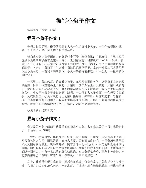 描写小兔子作文