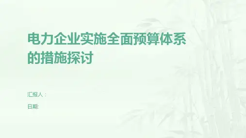 电力企业实施全面预算体系的措施探讨