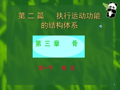 《运动解剖学》教学课件：上肢骨