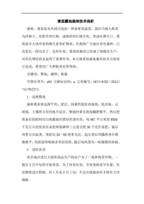 番茄露地栽培技术浅析