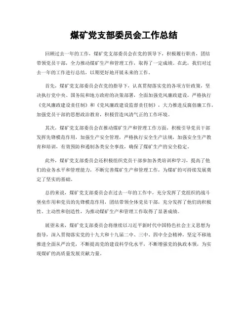 煤矿党支部委员会工作总结